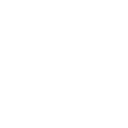 muziekicoon