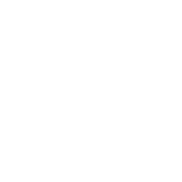 muziekicoon